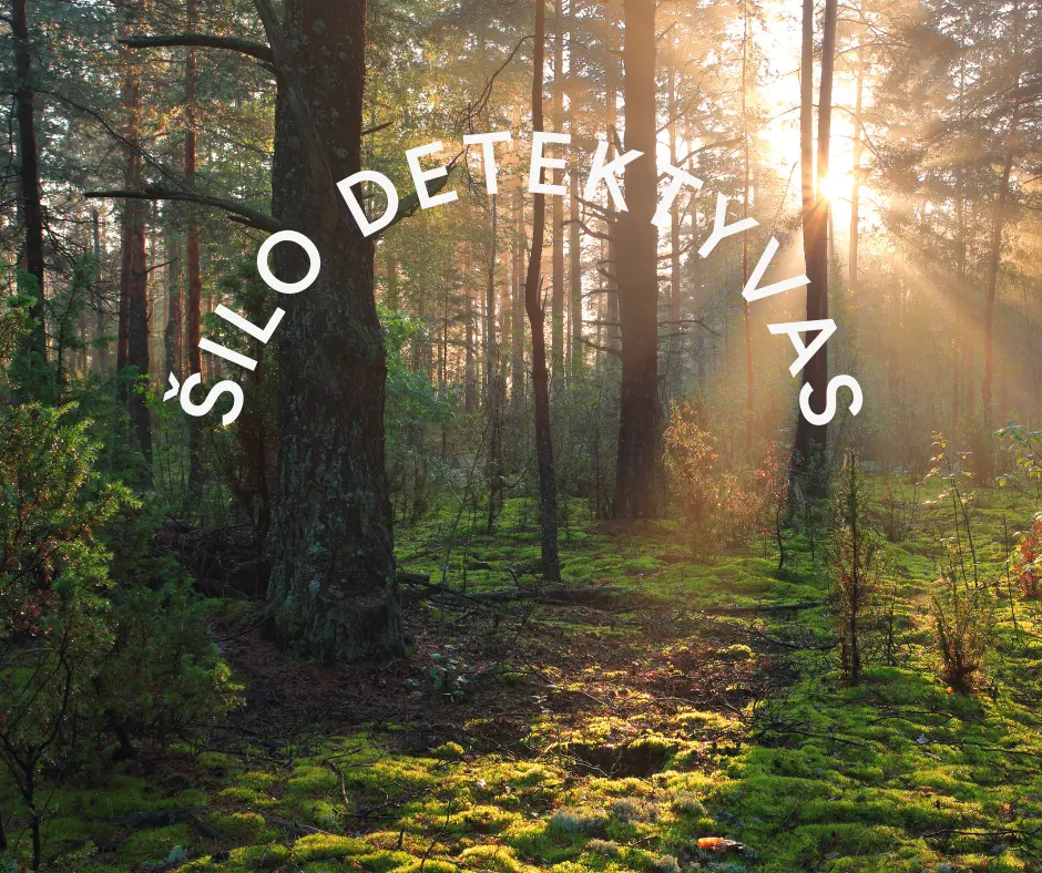 Šilo detektyvas